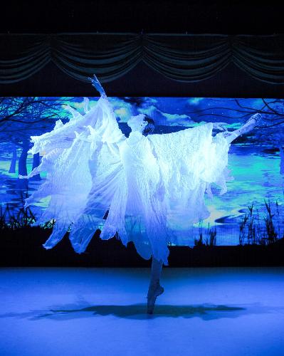 Awaji World Ballet「鶴の恩返し～感謝と平和の願いを込めて～」
