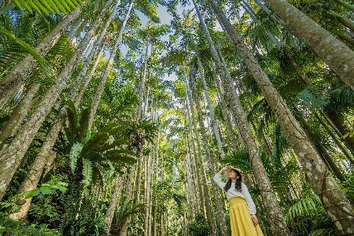 東南植物楽園 入園前売り券のチケット情報 イープラス