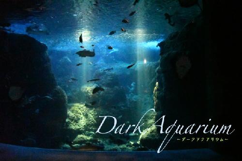 ふたりのdarkaquarium ダークアクアリウム のチケット情報 イープラス