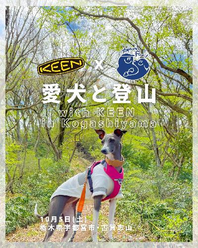 愛犬と登山with KEEN in Kogashiyama