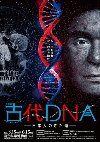 特別展「古代DNA―日本人のきた道―」