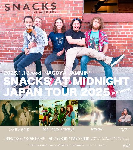 Snacks at Midnight / Sad Happy Birthdays / いとまとあやこ / Menow