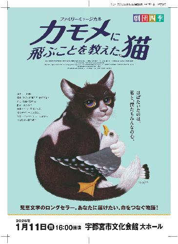 カモメに飛ぶことを教えた猫