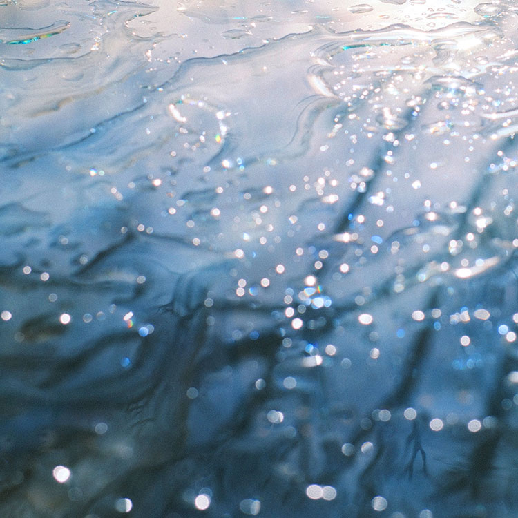 Digital Single「ファーストキス」