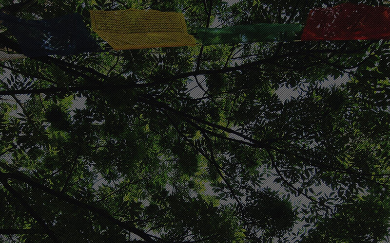 会場マップを見る